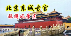 骚逼被啪啪视频中国北京-东城古宫旅游风景区